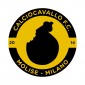 Calciocavallo Fc