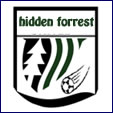 Hidden Forrest